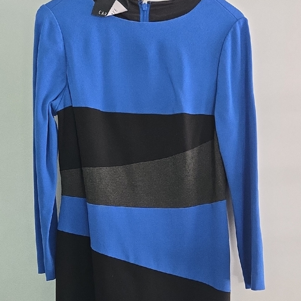 Caslon Blue and Black Sheath Dress Long Sleeve Crew Neck